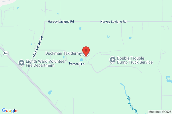 Dockman's Taxidermy