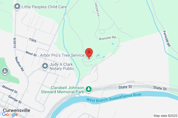 Arbor Pro's Tree Service