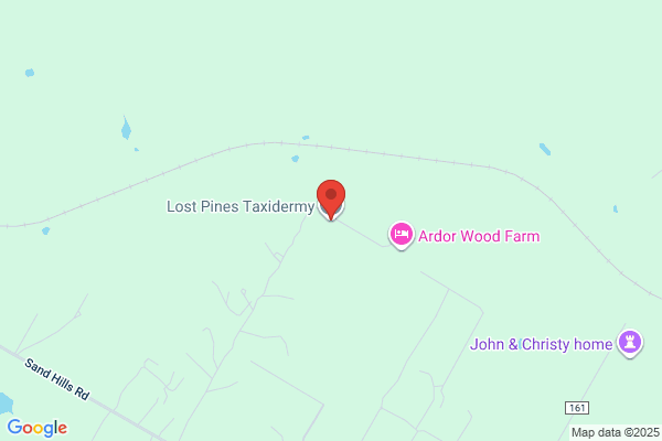 Red Pine Taxidermy