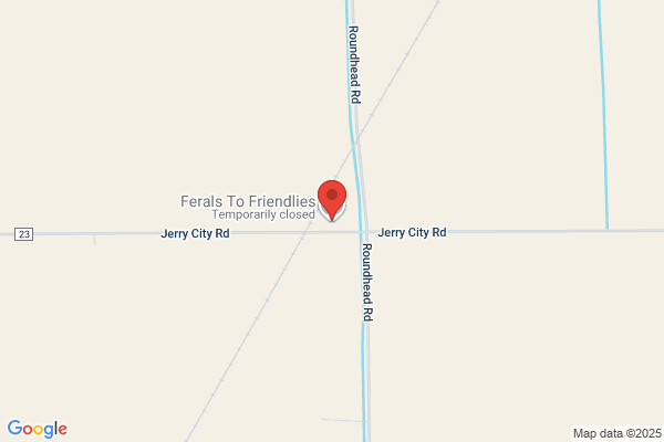 Ferals To Friendlies Inc