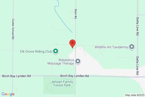 Bowzer's B & B Kennels