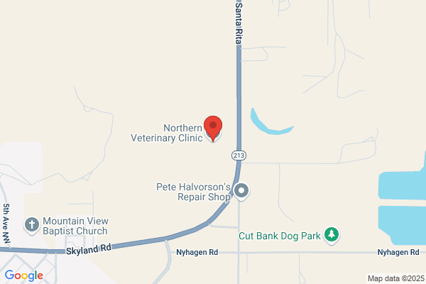 Northern Veterinary Clinic