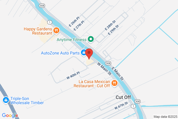Advance Auto Parts