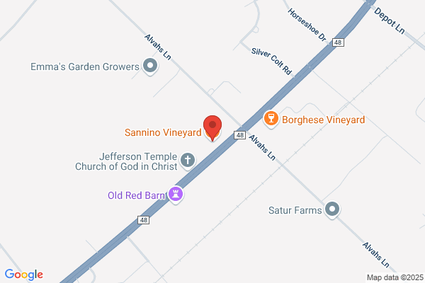 Sannino Vineyard