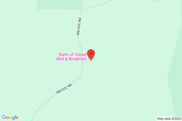 Balm of Gilead