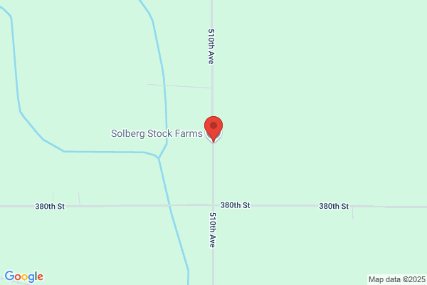 Solberg Stock Farms
