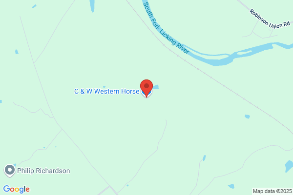C & W Western Horse