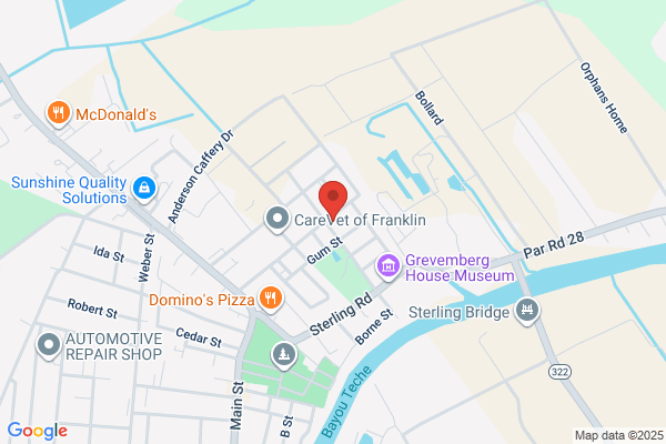 Physical Therapy Clinic of Franklin