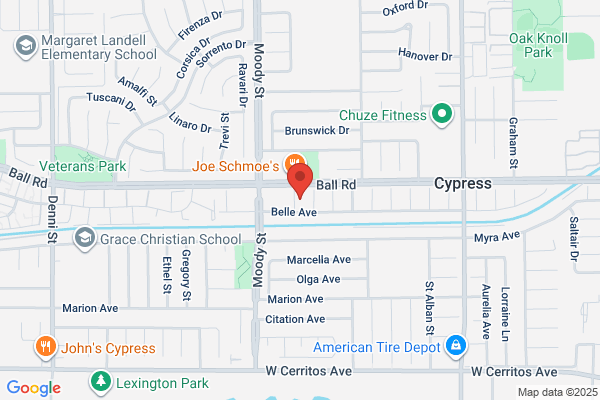 Stork News of Cypress