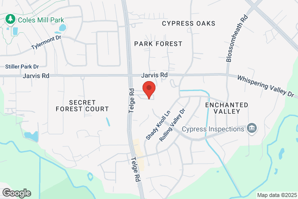 Carpet Cleaner Cypress