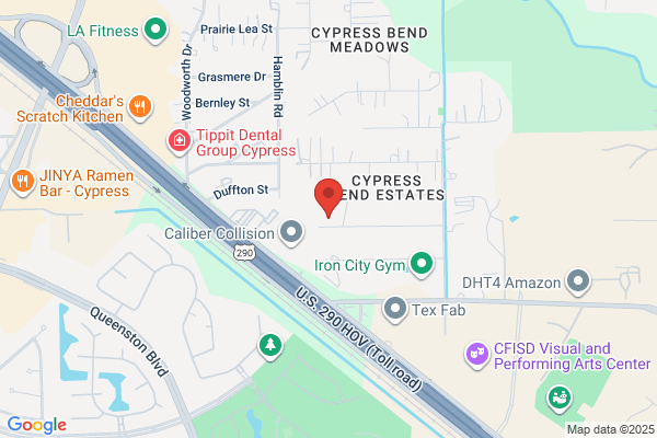 Carpet Cleaner Cypress