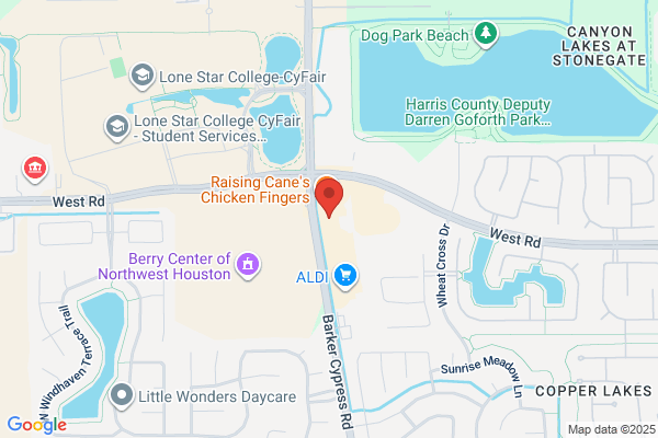 Cypress Garage Doors Repair