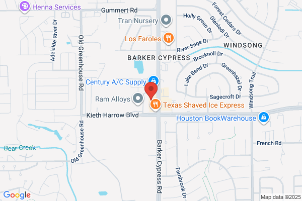 Texas Risk Advisors