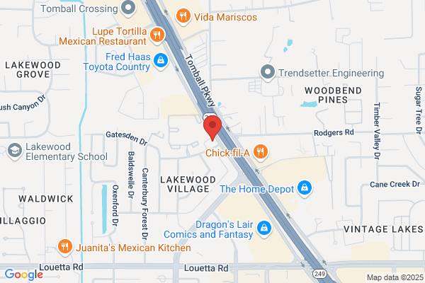 Hollywood Video