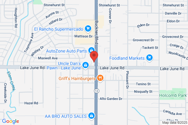TitleMax Title Loans