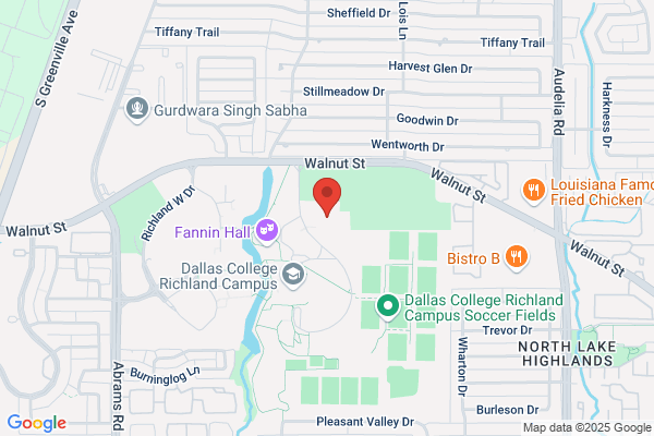 Dallas Colleges Online