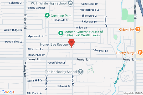 Honey Bee Rescue