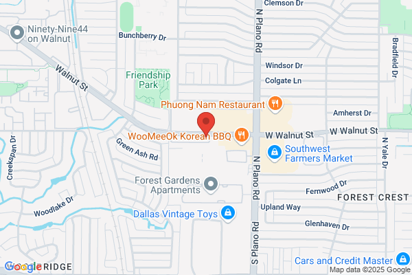 Plumbing Dallas TX Pro