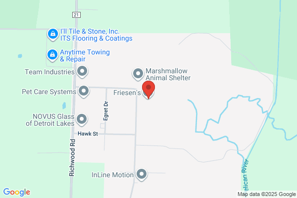Friesen Dale & Co Llc