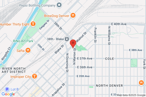 Rook Interactive, Inc.