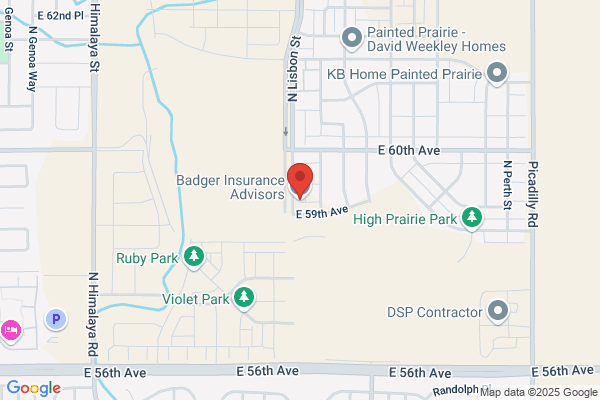 Badger Insurance Advisors