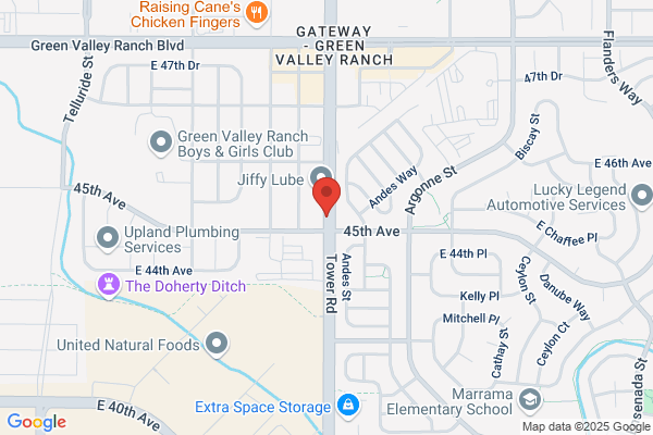 Advance Auto Parts
