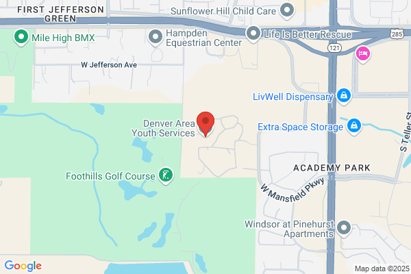 Denver Area Youth Services