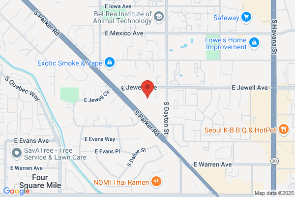 Mile High Mold Services