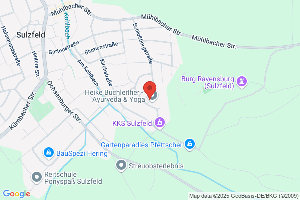 Micky Kings Elvis Tribute