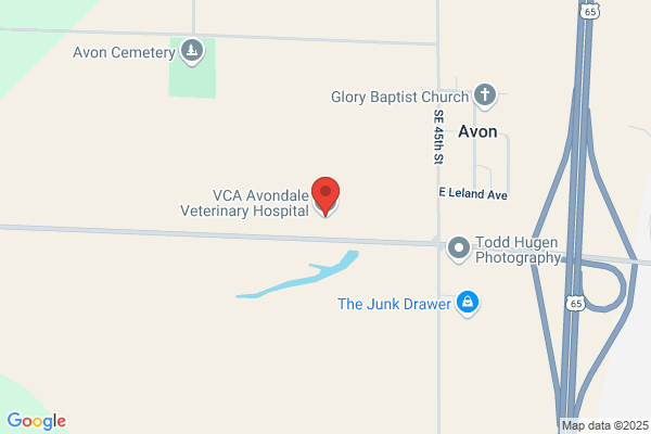 VCA Avondale Veterinary Hospital