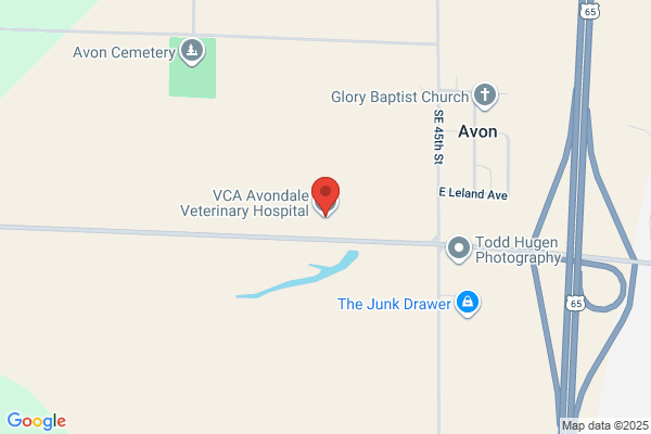 Avondale Veterinary Healthcare Complex