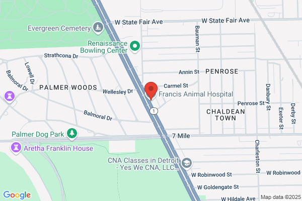 Francis Animal Hospital
