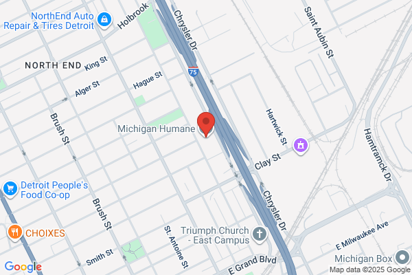 Michigan Humane Society, Clinic, Detroit