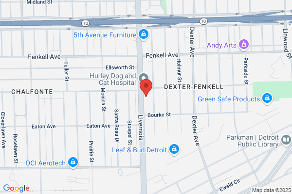 Livernois Collision