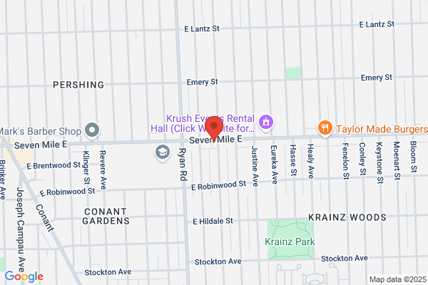 Handwashing and Detailing East Seven Mile