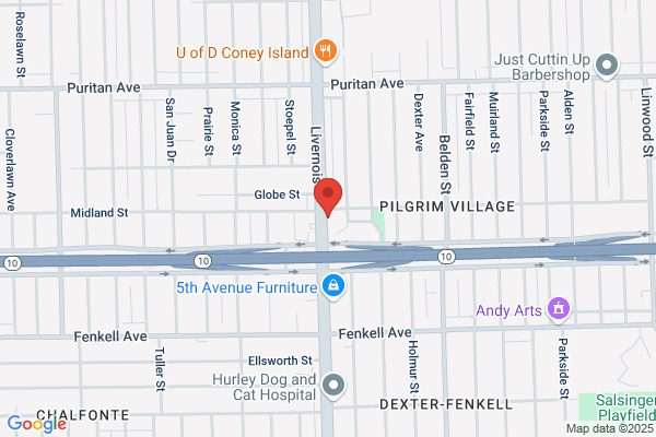 Detroit Dental Specialists