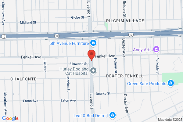 Livernois Service Group Inc