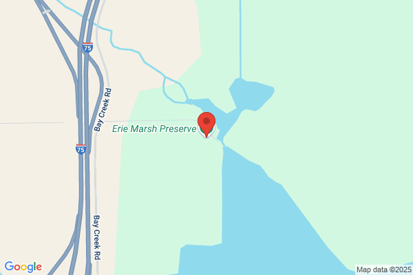 Martize Marsh