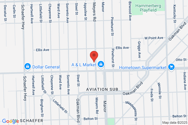 Motor City Pest Control