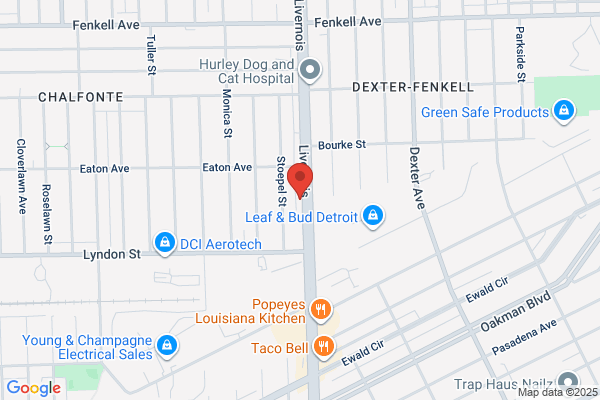 Detroit Tire & Auto Service