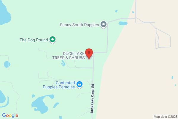 Duck Lake Trees & Shrubs