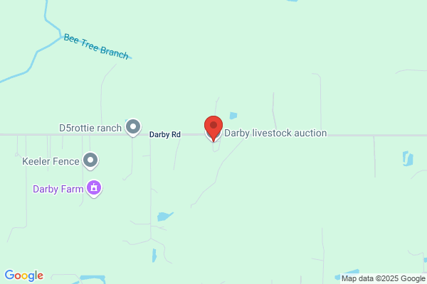 H & S Livestock Auction
