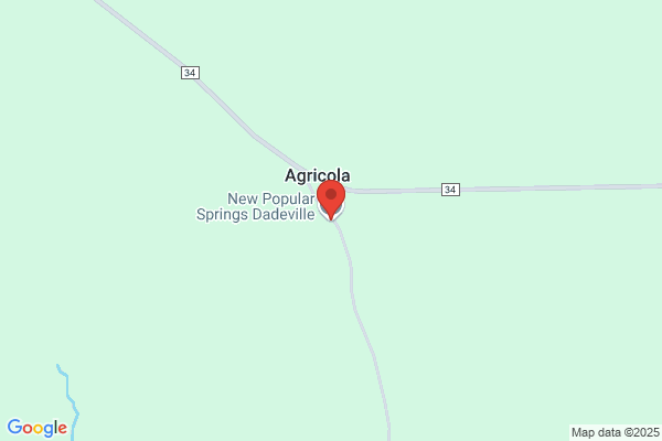 New Popular Springs
