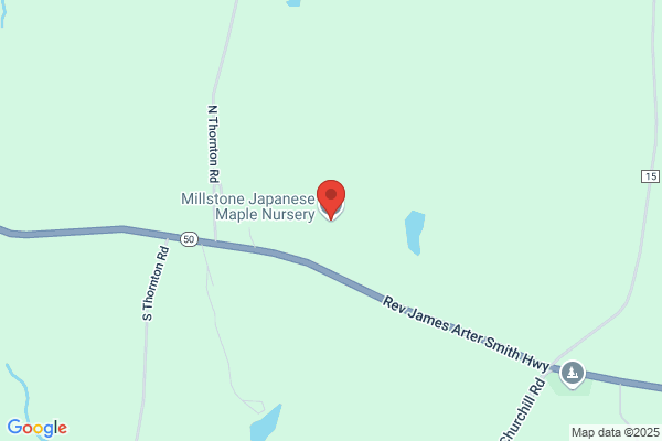 Millstone Nursery