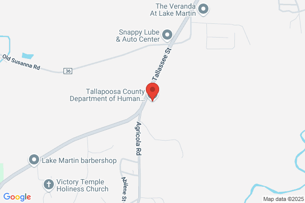 Tallapoosa County Food Stamp
