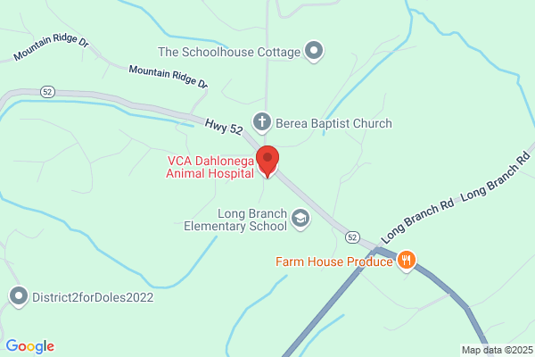 Chestatee Animal Hospital