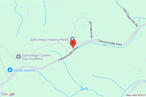 Dahlonega Animal Hospital