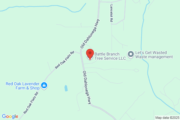 A-1 Tree Service & Landscaping