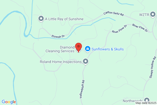 Diamond Cleaning Services