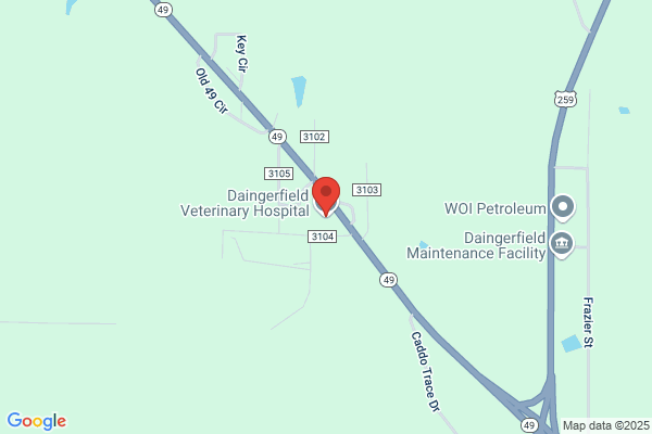 Daingerfield Veterinary Hospital